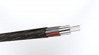 Кабель АКПсВГ 10х10