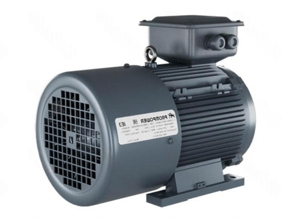 Электродвигатель 1LE9303-0EC42-1AA4 PROMPOWER
